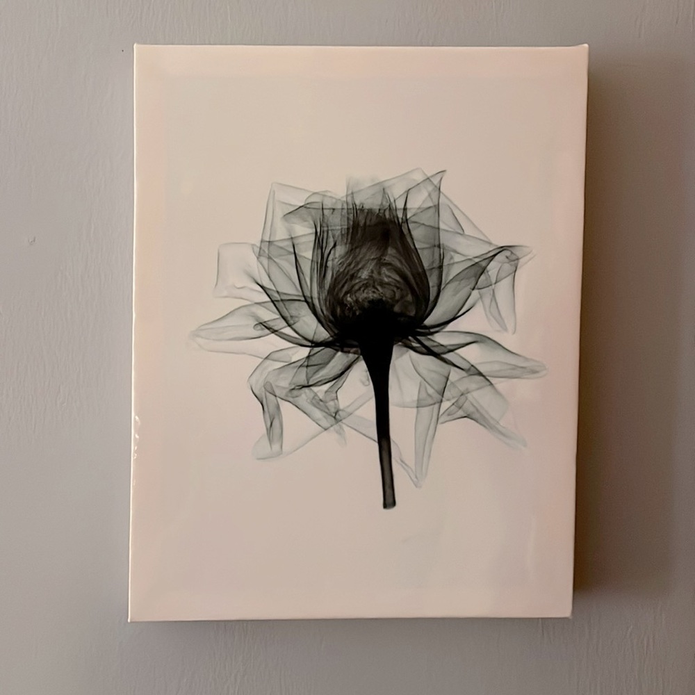 flower picture